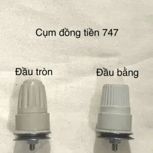 Cụm đồng tiền 747