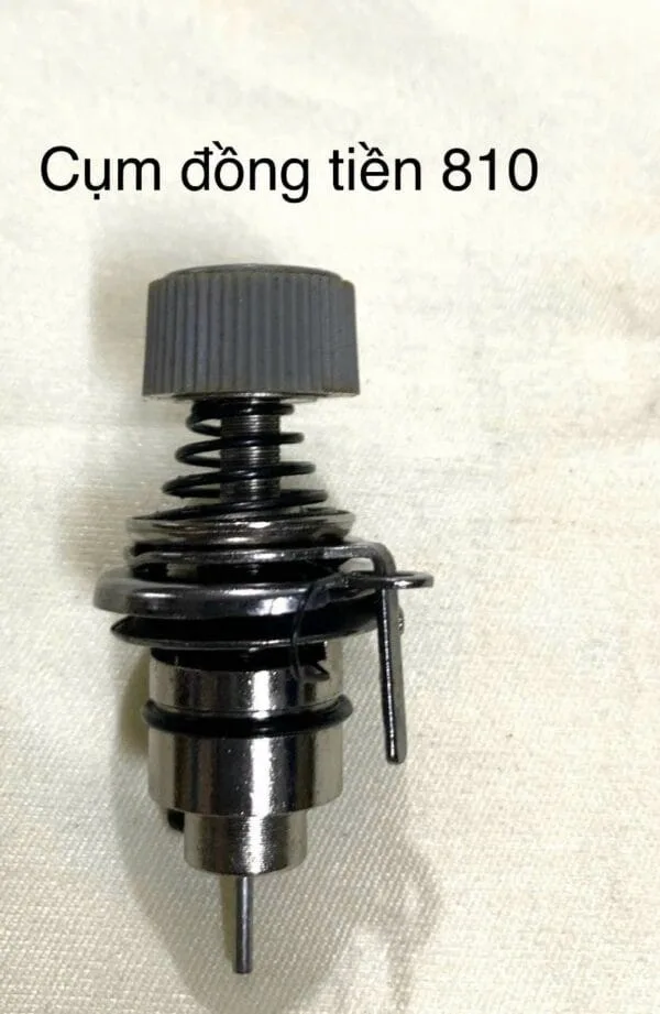 Cụm đồng tiền 810