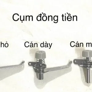 Cụm đồng tiền cán dày, cán mỏng