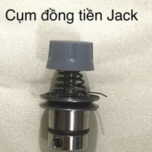 Cụm đồng tiền Jack