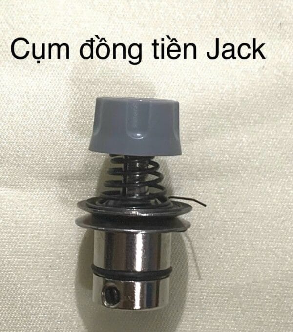 Cụm đồng tiền Jack